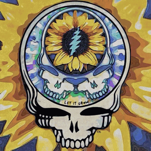 a drawing of a grateful dead skull with a sunflower in the center