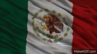 Bandera De Mexico GIF - Bandera Mexico GIFs