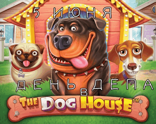 a poster for the dog house shows cartoon dogs in front of a doghouse