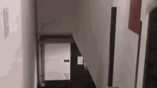 a person is walking down a set of stairs in a dark hallway .