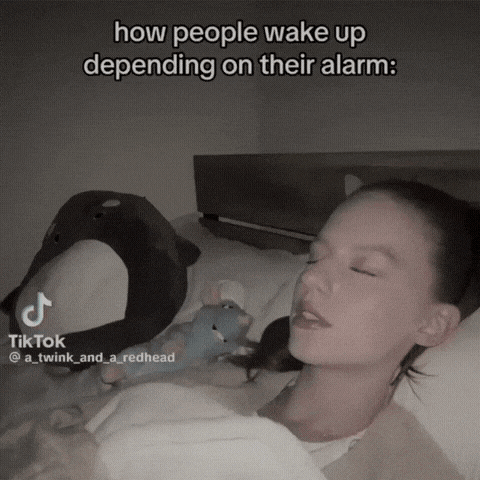 a tiktok video of a girl sleeping with a stuffed animal and the caption how people wake up depending on their alarm ..