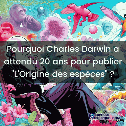 a poster of a man sitting in a chair with the words " pourquoi charles darwin " above him
