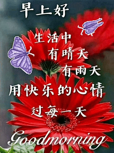 a red flower with a butterfly and the words good morning in white
