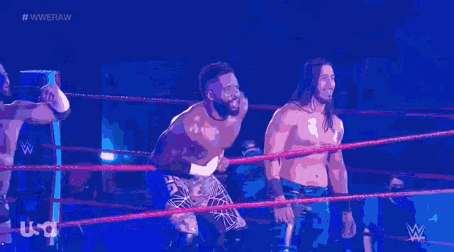 a group of wrestlers are standing in a ring .