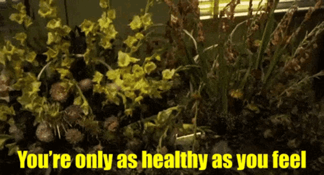 a bunch of yellow flowers with the words you 're only as healthy as you feel