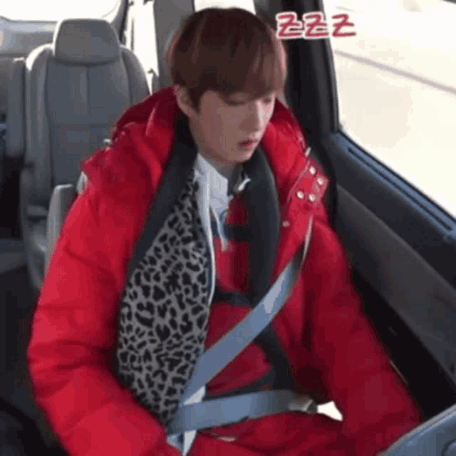 a young man in a red jacket is sitting in a car with a seat belt .
