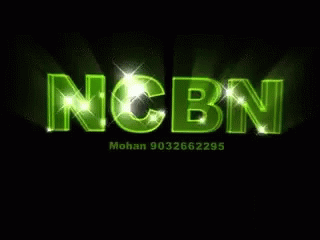 Ncbn Nara Chandrababu GIF - Ncbn Cbn Nara Chandrababu GIFs