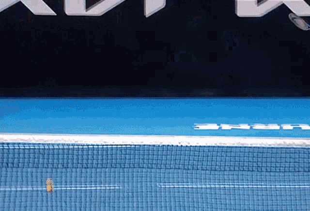 a tennis court with a net and a sign that says ' npa ' on it
