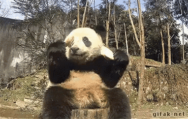 a panda bear is sitting on a tree stump in a forest .