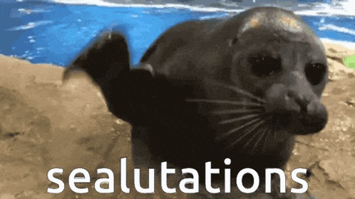 a seal with the word sealulations on the bottom of it