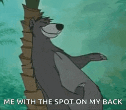 a cartoon bear is leaning against a palm tree with the words `` me with the spot on my back '' .