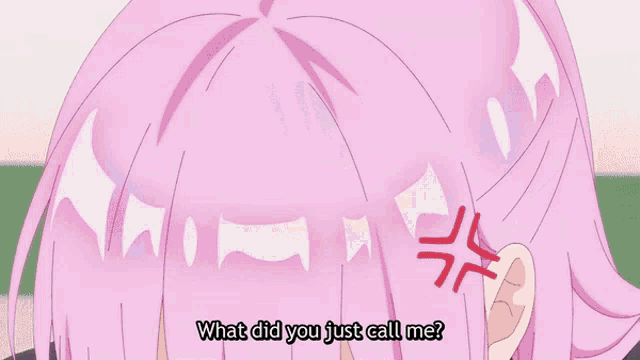 a girl with pink hair is saying " what did you just call me "