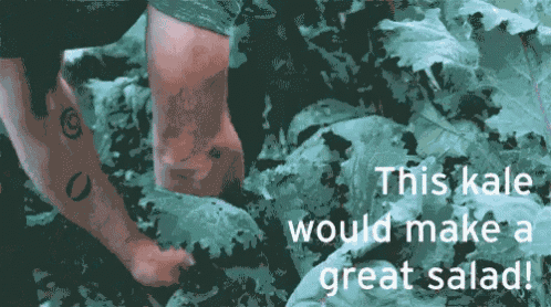 a person standing in a field of kale with the words this kale would make a great salad on the bottom