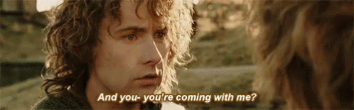 Lotr Lord Of The Rings GIF - Lotr Lord Of The Rings Graduation GIFs