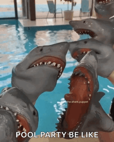 Shark Puppet Swimming GIF - Shark Puppet Swimming Swim GIFs