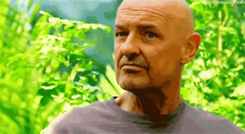 a bald man with a gray shirt is standing in front of a lush green forest .