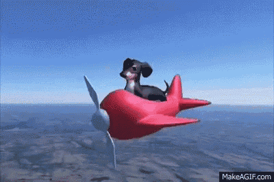 a dachshund is riding on the back of a red airplane .
