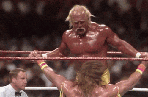 Hulk Hogan Warrior GIF