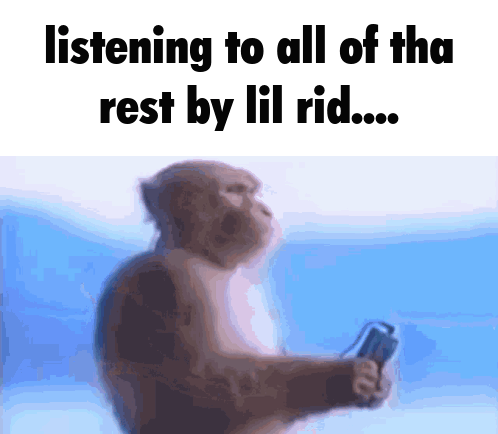 Listening Monkey Listening GIF - Listening Monkey Listening Monkey Headphones GIFs