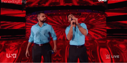 The Singh Brothers Wwe GIF - The Singh Brothers Wwe Smackdown GIFs