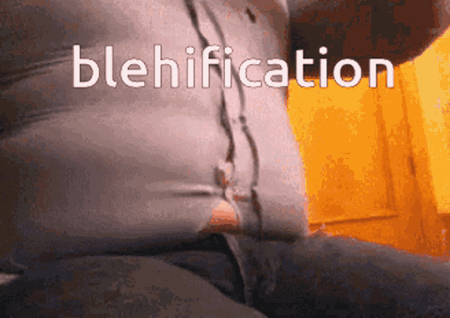 a pixelated image of a man 's belly with the word blehification written above him