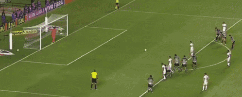 a soccer game is being played on a field with an ad for quartzoli in the back