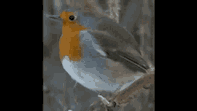 a bird with a red head is perched on a branch .