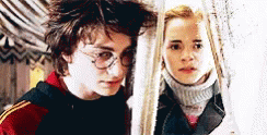 Harry Potter Hermione GIF - Harry Potter Hermione Hug GIFs