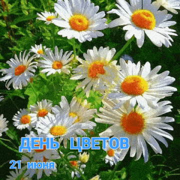 a bunch of daisies are growing in the grass with the date 21 june