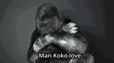 Man Koko Love Asl GIF - Man Koko Love Koko Asl GIFs