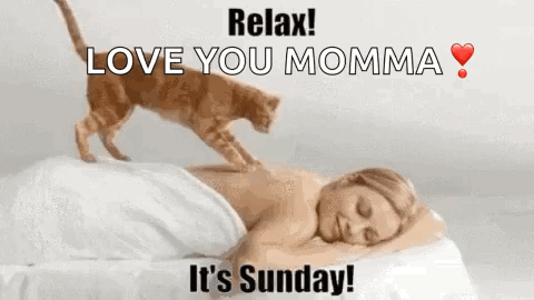 Relax Its Sunday Massage GIF - Relax Its Sunday Massage Cats GIFs