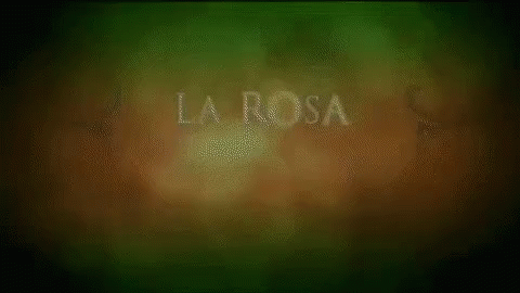 La Rosa GIF - La Rosa GIFs
