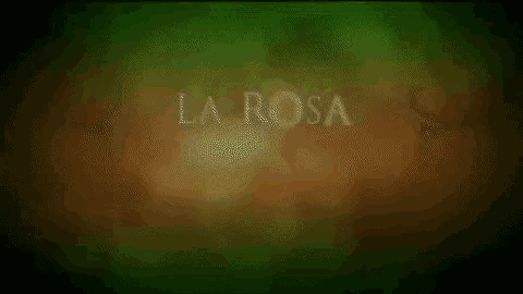 the word la rosa is written on a green and brown background