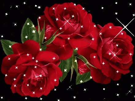 a bunch of red roses on a black background with white stars