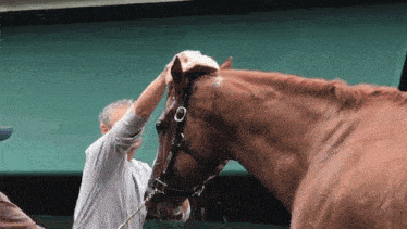 a man washing a brown horse 's head with a hose