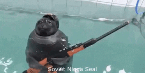 Soviet Nigga Seal GIF - Soviet Nigga Seal GIFs