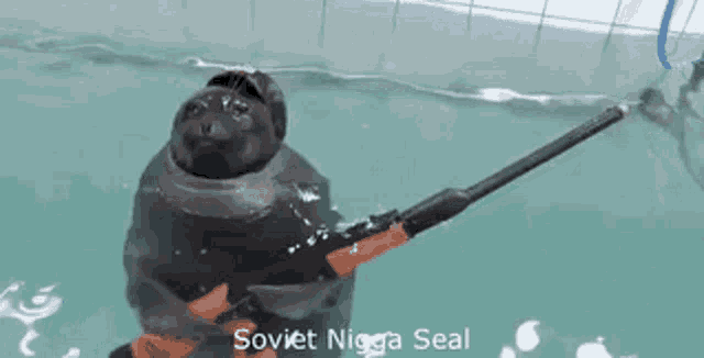 a seal is holding a rifle in the water .