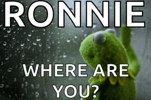 a kermit the frog looking out a window with the words ronnie where are you written above him