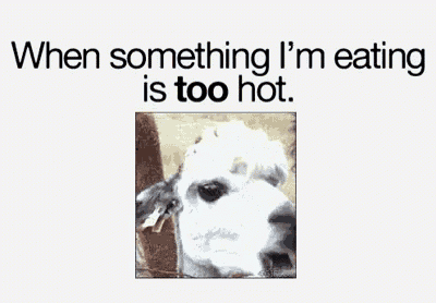 a picture of an alpaca with its mouth open and the words `` when something i 'm eating is too hot '' below it .