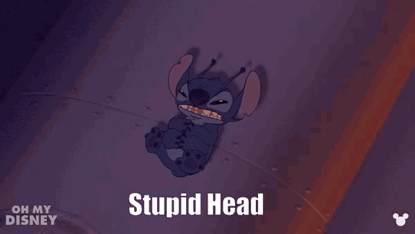a cartoon of stitch with the words stupid head below it