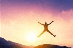a silhouette of a man jumping in the air at sunset .