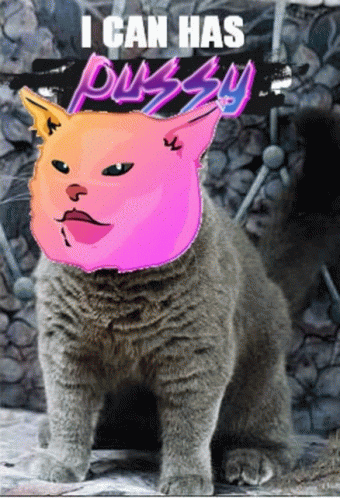 Pussy Pussyfinancial GIF - Pussy Pussyfinancial Pussymeme GIFs