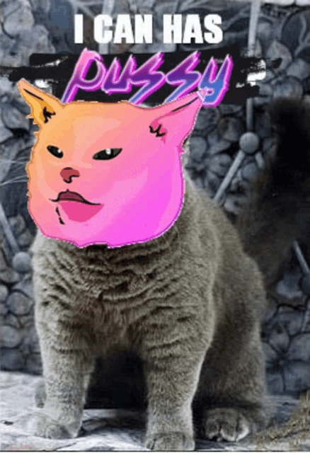 a cat with a pink face and the words " i can has pussy " on it
