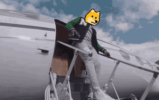 a man with a doge on his face is getting off a plane