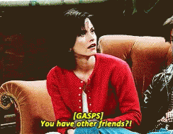 Friends Monica GIF - Friends Monica You Have Other Friends GIFs