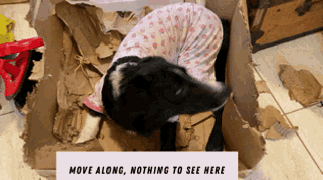 a dog is laying in a cardboard box with the words move along nothing to see here