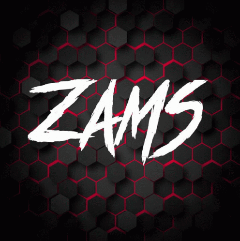 Zams Cod GIF - Zams Cod GIFs