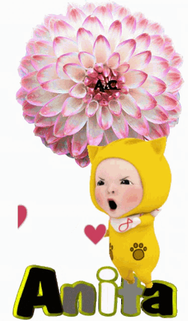 a baby in a cat costume is holding a pink flower and the name anita is below it
