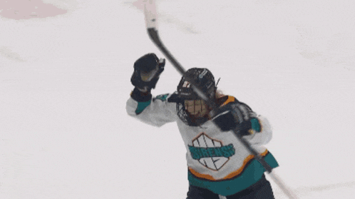 a hockey player wearing a jersey with the number 27 on it