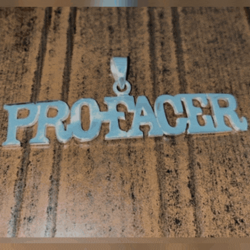 a man wearing sunglasses is holding a chain that says pro eacer